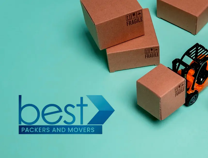 Best Packers and Movers Team
